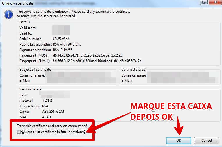 Erros Filezilla 01