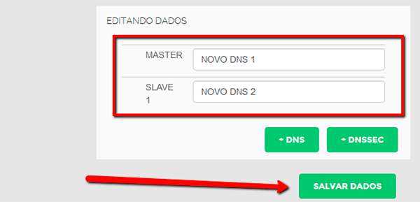 Alterar DNS no Registro BR 05